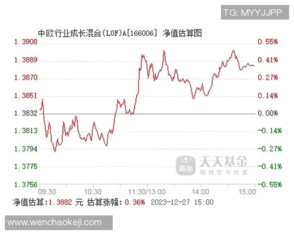 陈磊专访：从羽毛球新星到行业领军者的成长之路回顾