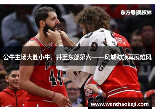 公牛主场大胜小牛，升至东部第六——风城劲旅再展雄风