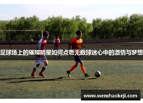 足球场上的璀璨明星如何点燃无数球迷心中的激情与梦想