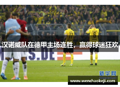 汉诺威队在德甲主场连胜，赢得球迷狂欢