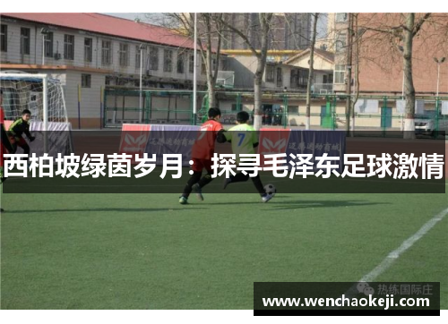 西柏坡绿茵岁月：探寻毛泽东足球激情
