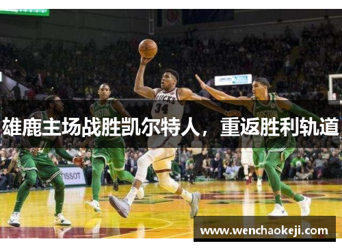 雄鹿主场战胜凯尔特人，重返胜利轨道