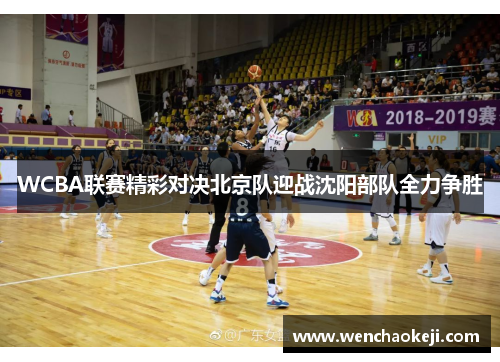 WCBA联赛精彩对决北京队迎战沈阳部队全力争胜