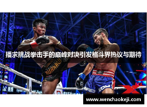 播求挑战拳击手的巅峰对决引发格斗界热议与期待