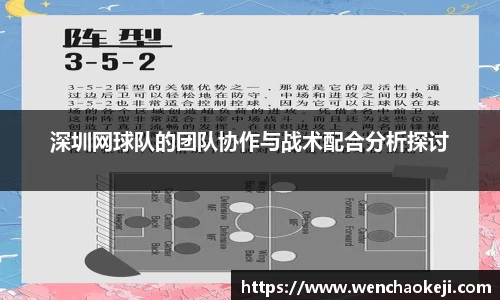 深圳网球队的团队协作与战术配合分析探讨